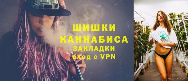 стаф Надым