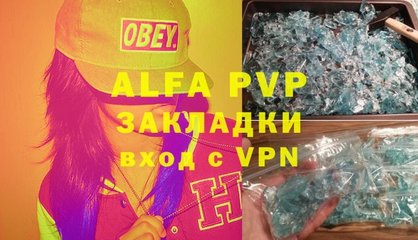 стаф Надым